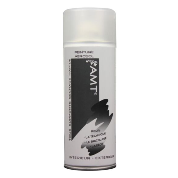 Peinture aérosol vernis mat - AMT