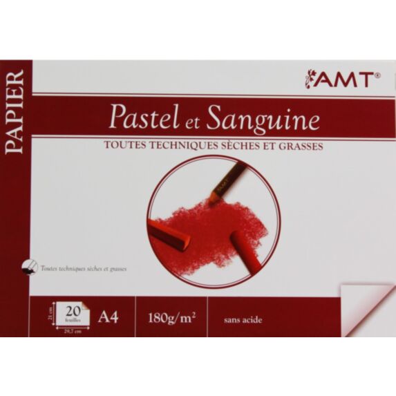 Bloc de papier Pastel et sanguine 20 feuilles 180gr/m² format A4 - AMT