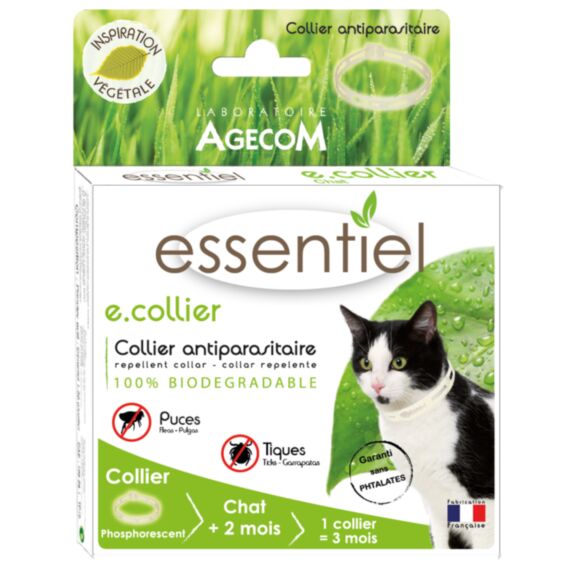 E.collier chat phosphorescent 35cm b/1collier