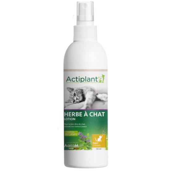Herbe à Chat 125ml - ACTIPLANT'