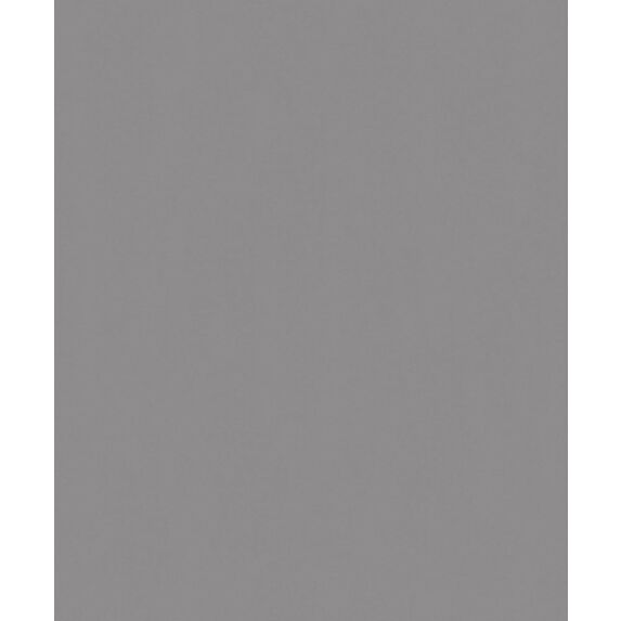 Papier Peint Vinyl Lourd Intissé Bering Souris Lisse 10x0,53m