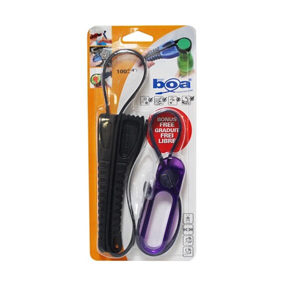 Baby Boa Constrictor - PASSAT