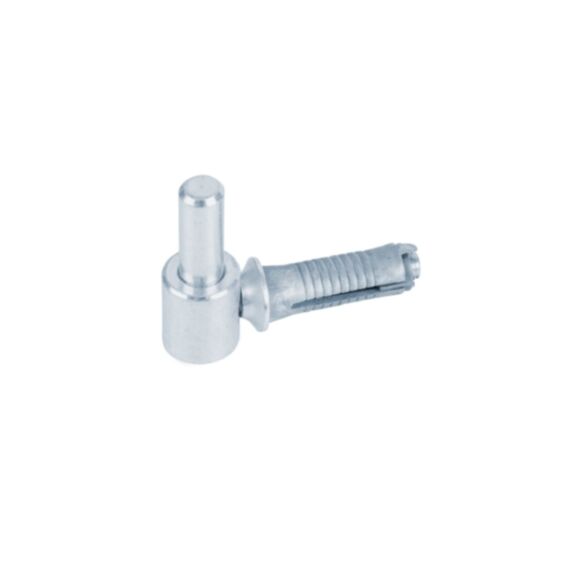 Gond à visser Ø14x65mm - ALBERTS