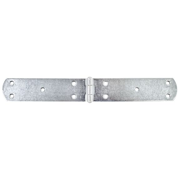 Charnière de malle zinguée 300x40x2,5mm - ALBERTS