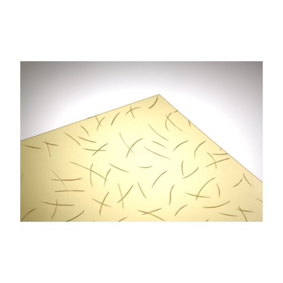 Plaque croissant miel 50 x 100 cm +/- 2.5mm