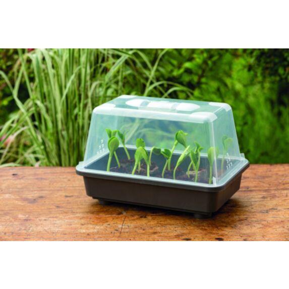 Mini-serre rigide S 29 x 19 x 19 cm avec aérateur/couvercle - ROMBERG