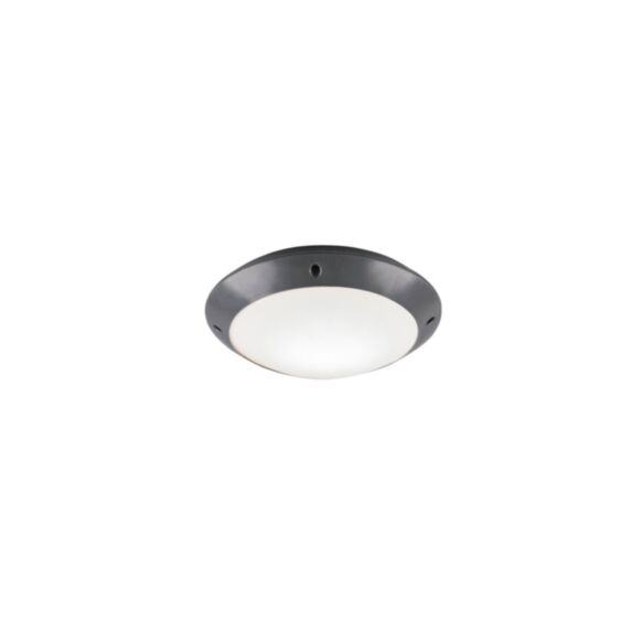 Plafonnier Camaro Plastique Antracite 26cm - TRIO