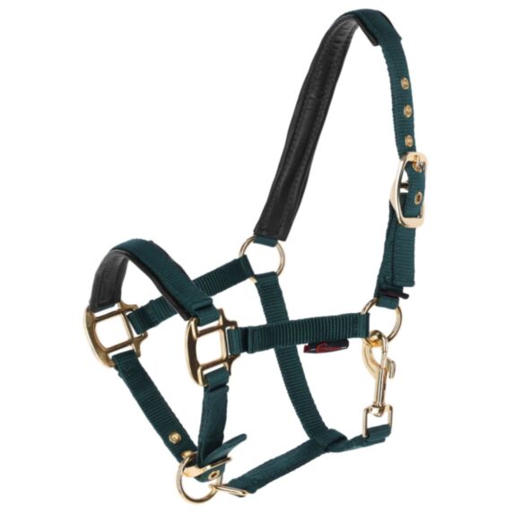 Licol TopLine Forest Poulain vert avec bouclerie dorée - COVALLIERO