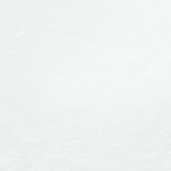 Papier peint intissé blanc 10.05mx53,3cm Thermowall 53 - AS CREATION