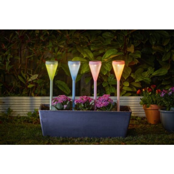 4 balises solaires décoratives Viva - SMART GARDEN