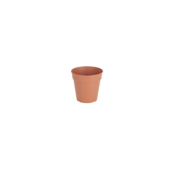 POT MADAGASCAR TO GROW 23CM TERRE C