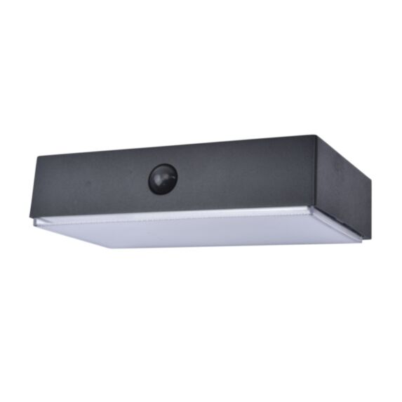 Applique solaire LED connectée Fadi ABS noir 18cm - LUTEC