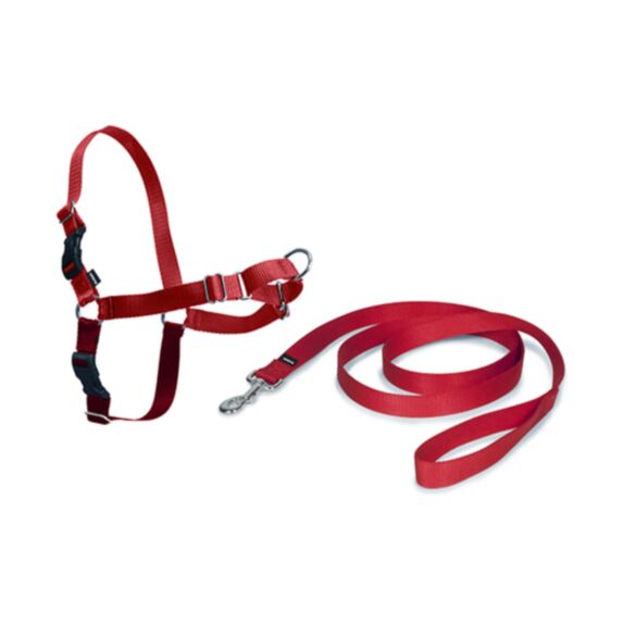 Harnais Easy Walk chien M rouge - PETSAFE