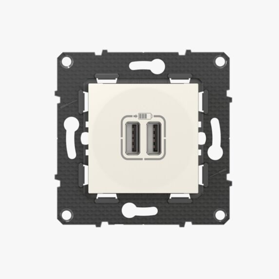 Prise 2 USB Altège neige - BTICINO