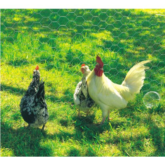 Maille galvanex  19 (19x0,7mm) metal 0,50x10m - INTERMAS