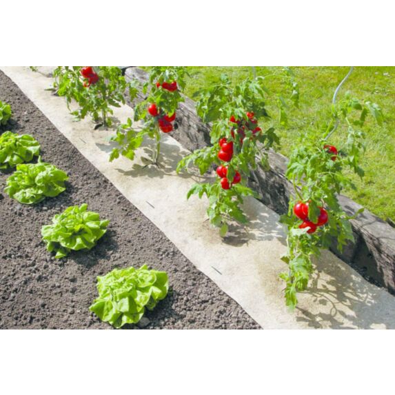 Paillage naturel 0,50x3m