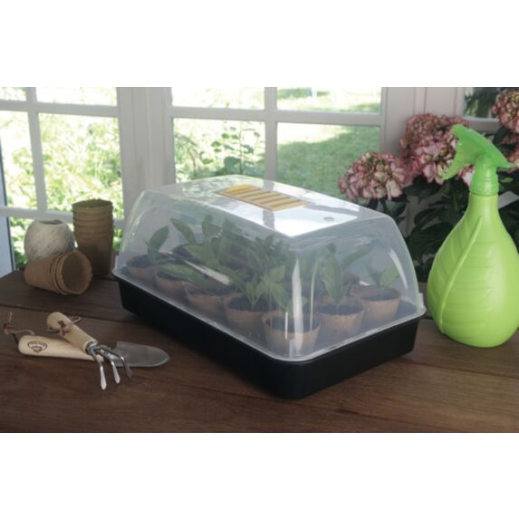Mini serre semis Rapid Grow Plastique Transparent 38x24x19cm - NORTENE