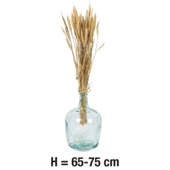 Orge Naturel H.65-75cm