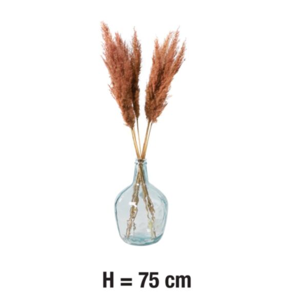10 Pampa Teinte Rose H.75cm
