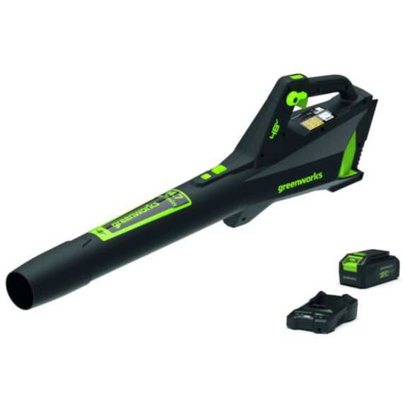 Souffleur de feuilles GD48ABK2 48V + batterie 2Ah - GREENWORKS