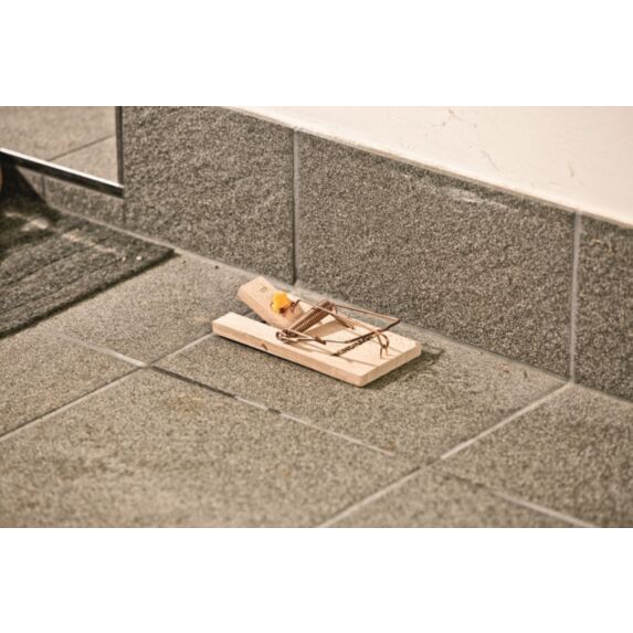 Tapettes à souris CLASSIC WOOD