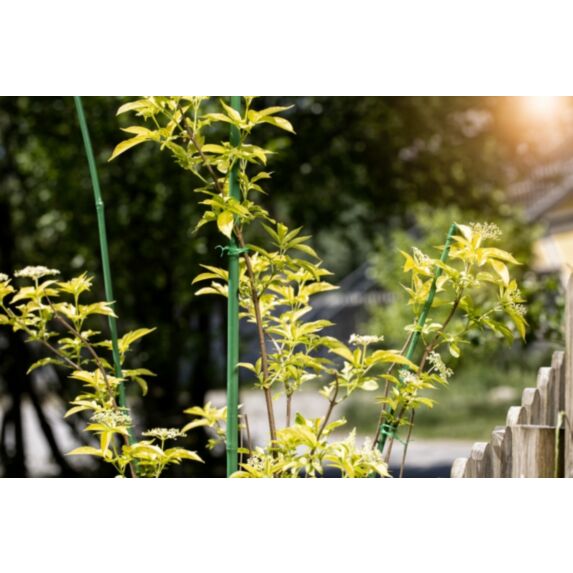 Tuteur bambou vert plst 210cm 1,6cm