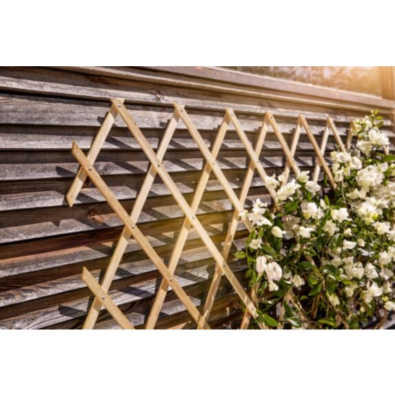 Treillage bois dur 45x180cm