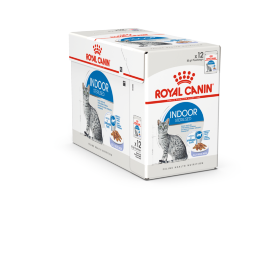 Pâtées Chat Indoor Gelee 12x85gr - ROYAL CANIN