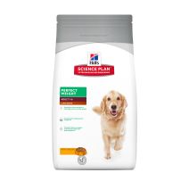 Croquettes chien Perfect Weight Large Breed 12 kg - HILL'S SCIENCE PLAN