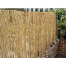 Paillon de roseau pelé brillant 2x5m - IDEAL GARDEN