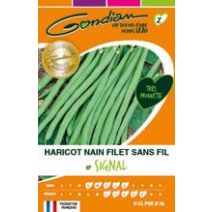 HARICOT NAIN FILET SANS FIL SIGNAL (220 GRS)
