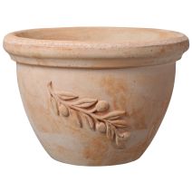 Coupe Olivade 18cm