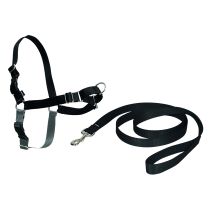 Harnais et laisse chien easy-walk