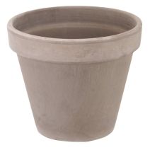 Pot Greige en Terre cuite Ø15cm