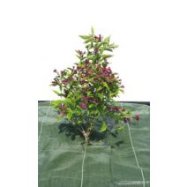Toile de paillage "Agrosol" 120gr/m² 1,25x10m - NORTENE