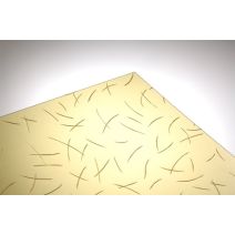 Plaque croissant miel 50 x 100 cm +/- 2.5mm