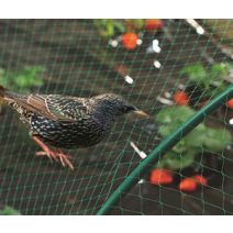 Filet de protection oiseaux pe 2x10m - INTERMAS