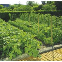 Trellinet (Filet à ramer) 1x5m - INTERMAS
