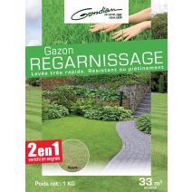 Gazon regarnissage 1 kg