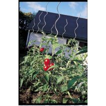 tuteur tomates spirale H1m80