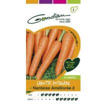CAROTTE POTAGERE NANTAISE AMELIOREE 2  (8 GRS)