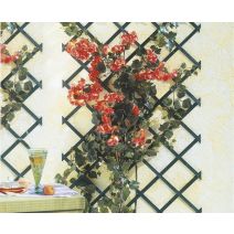 Trellis extensible bois lasuré vert 0,50 x 1,50 m TRELLIWOOD - INTERMAS