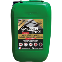anti dépôts verts algues et lichens pae premium 20L
