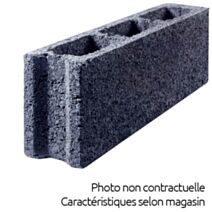 Parpaing creux 10 x 20 x 50 cm