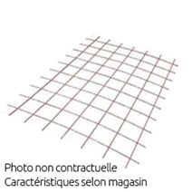 Treillis panneau carleur - 1m x 2m