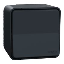 Interrupteur va-et-vient saillie Mureva Styl anthracite - SCHNEIDER ELECTRIC