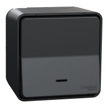 Interrupteur lumineux saillie Mureva Styl anthracite - SCHNEIDER ELECTRIC