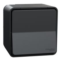 Poussoir étanche saillie complet Mureva Styl anthracite - SCHNEIDER ELECTRIC