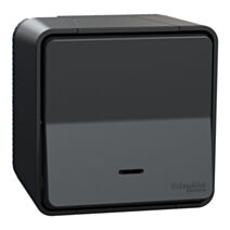Poussoir lumineux étanche saillie Mureva Styl anthracite - SCHNEIDER ELECTRIC