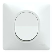 5 va-et-vient avec plaque Ovalis blanc - SCHNEIDER ELECTRIC